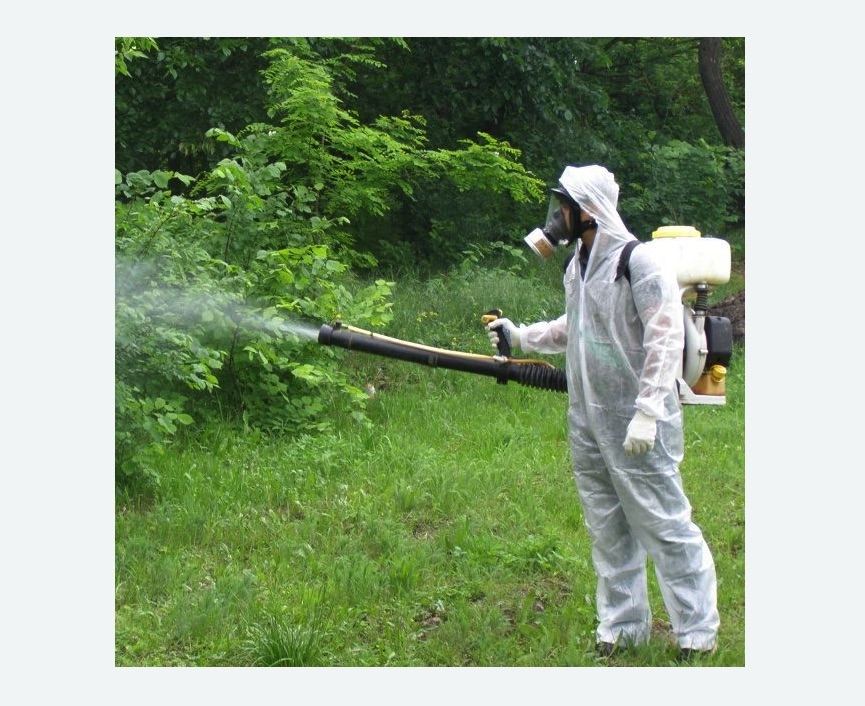 обработка территории от клещей в Жирновске