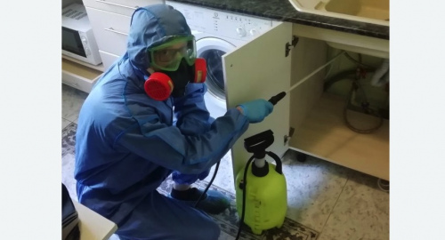 Уничтожение муравьев в квартире. Жирновск