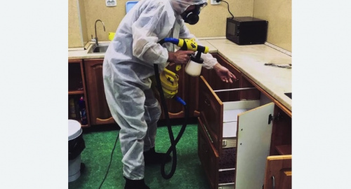 Уничтожение насекомых в квартире. Жирновск