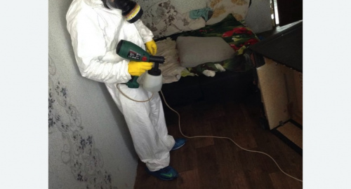 Обработка квартир от насекомых в Жирновске