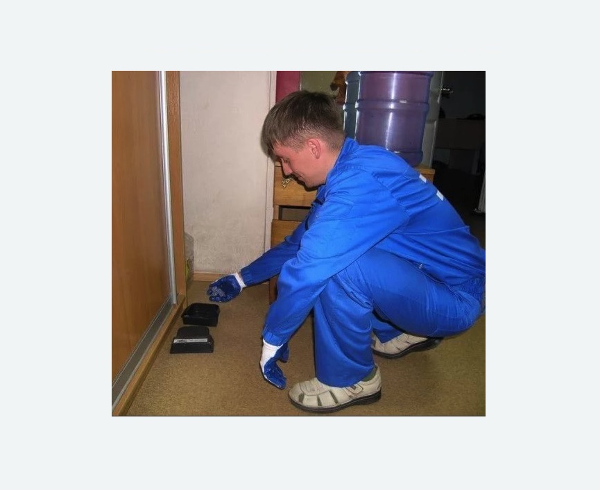 Дератизация крыс в Жирновске