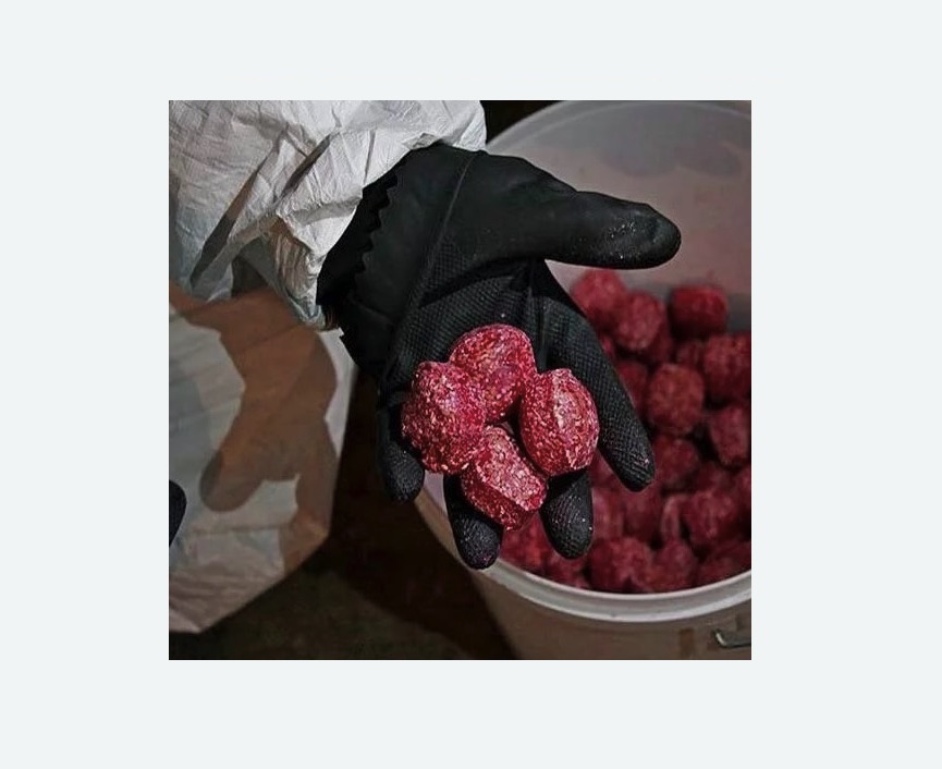 Обработка от крыс в Жирновске