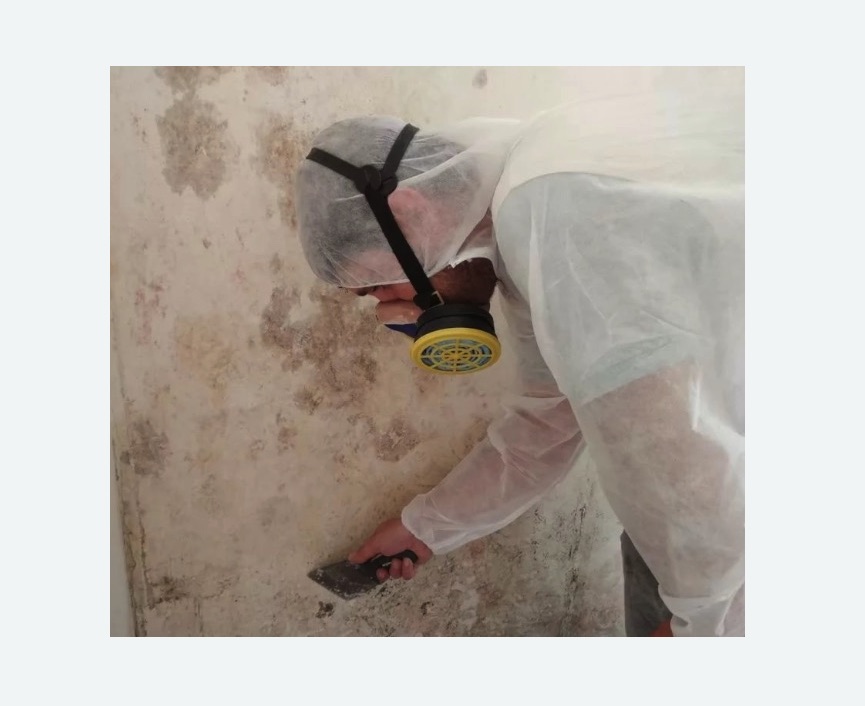Обработка стен от плесени в Жирновске