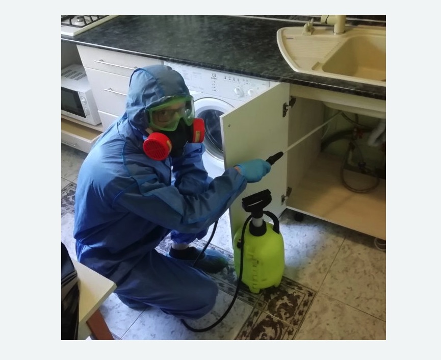 обработка от муравьев в квартире в Жирновске