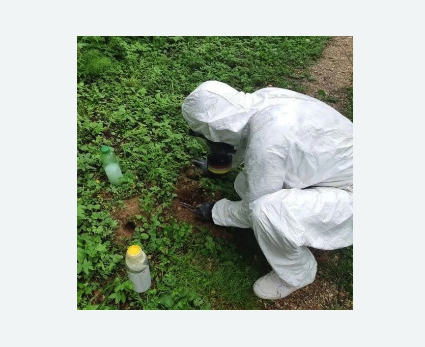 уничтожение кротов на участке в Жирновске