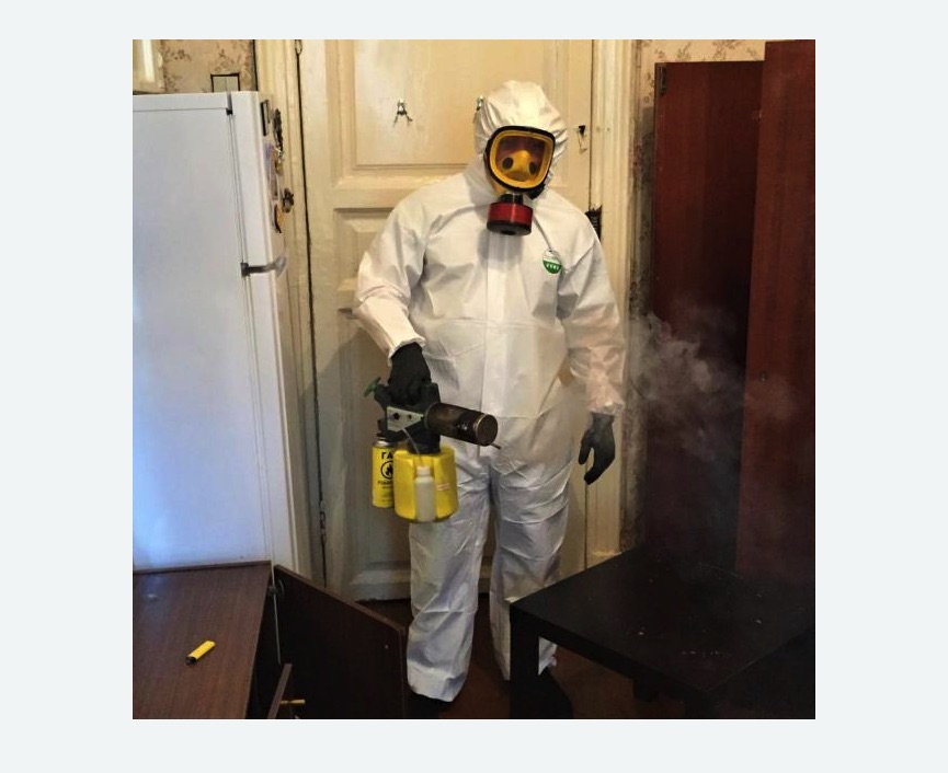 уничтожение муравьев в квартире в Жирновске